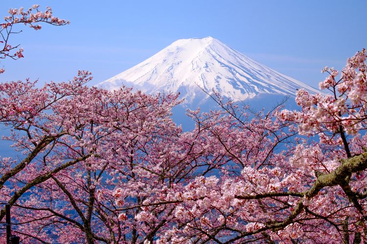 gunung fuji